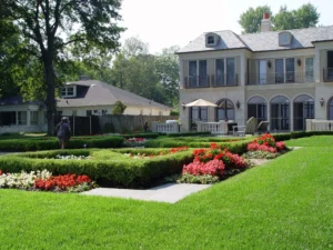 Backyard garden with shrubs and flowers