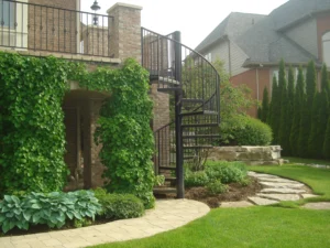Outdoor spiral staircase with vines, trees, and shrubs