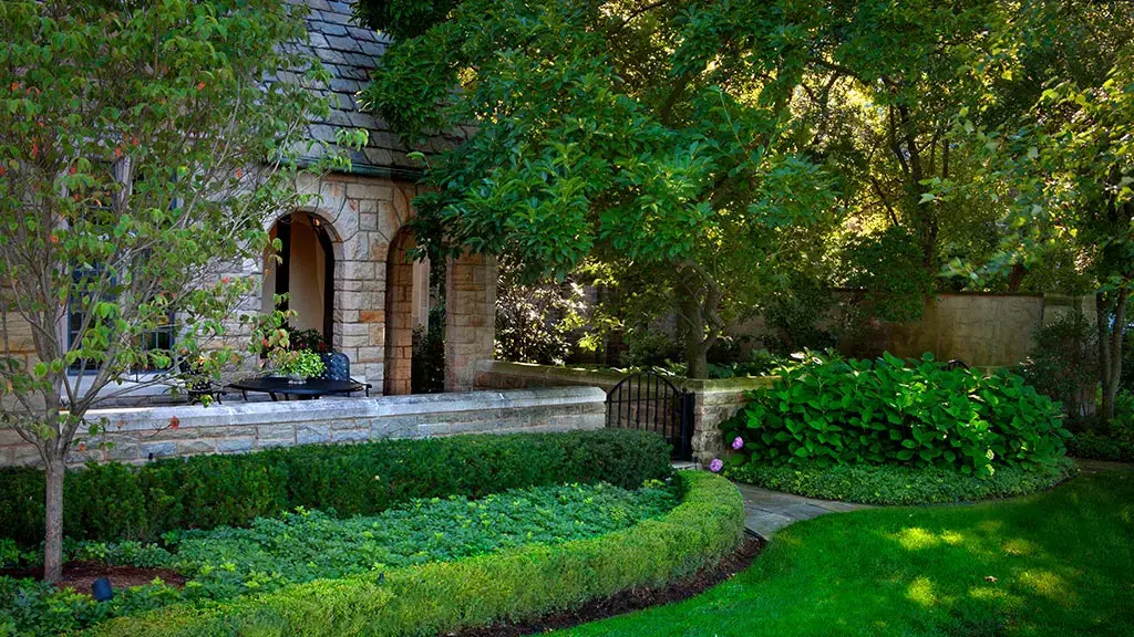 Stone wall with shrubs and trees