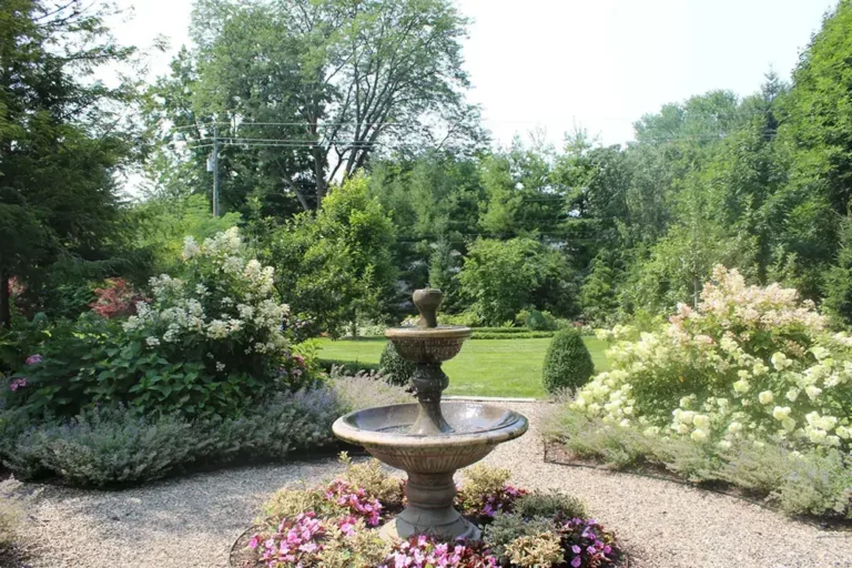 Water fountain surrounded by flowers and shrubs