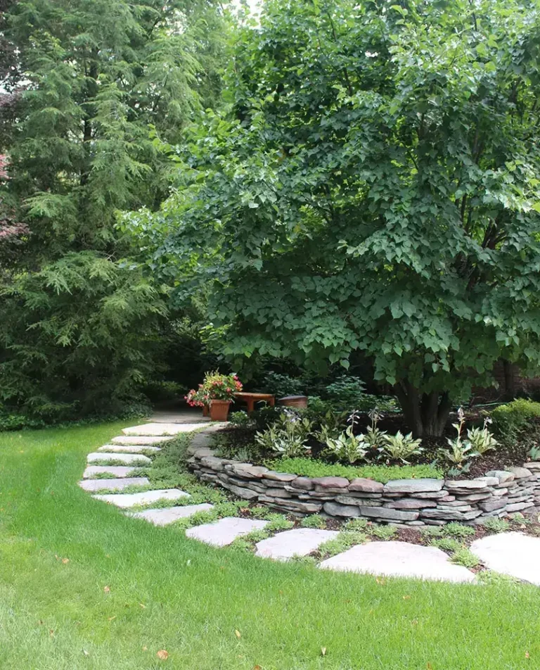 Stone walkway with tree and shrubs